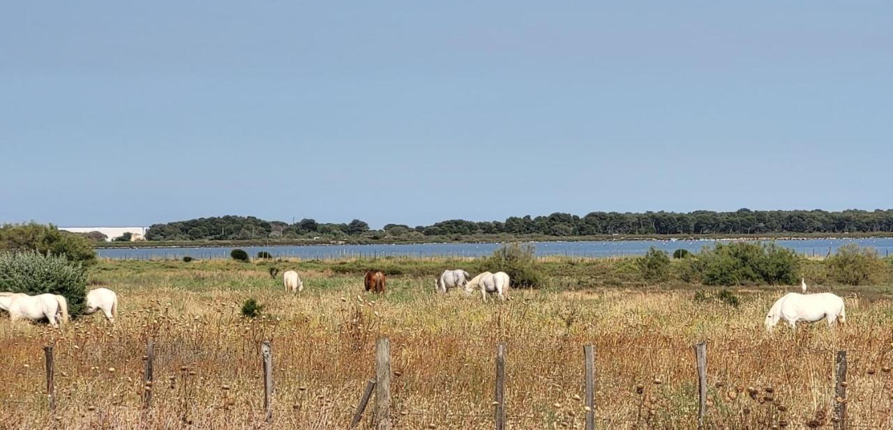 Marina Lairan Vue Sur L'eau Et Les Bateaux De Port Camargue 2etoiles F